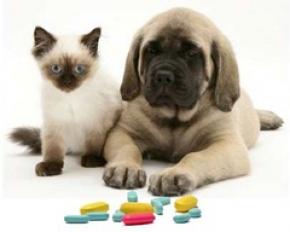 Medicamentos veterinarios